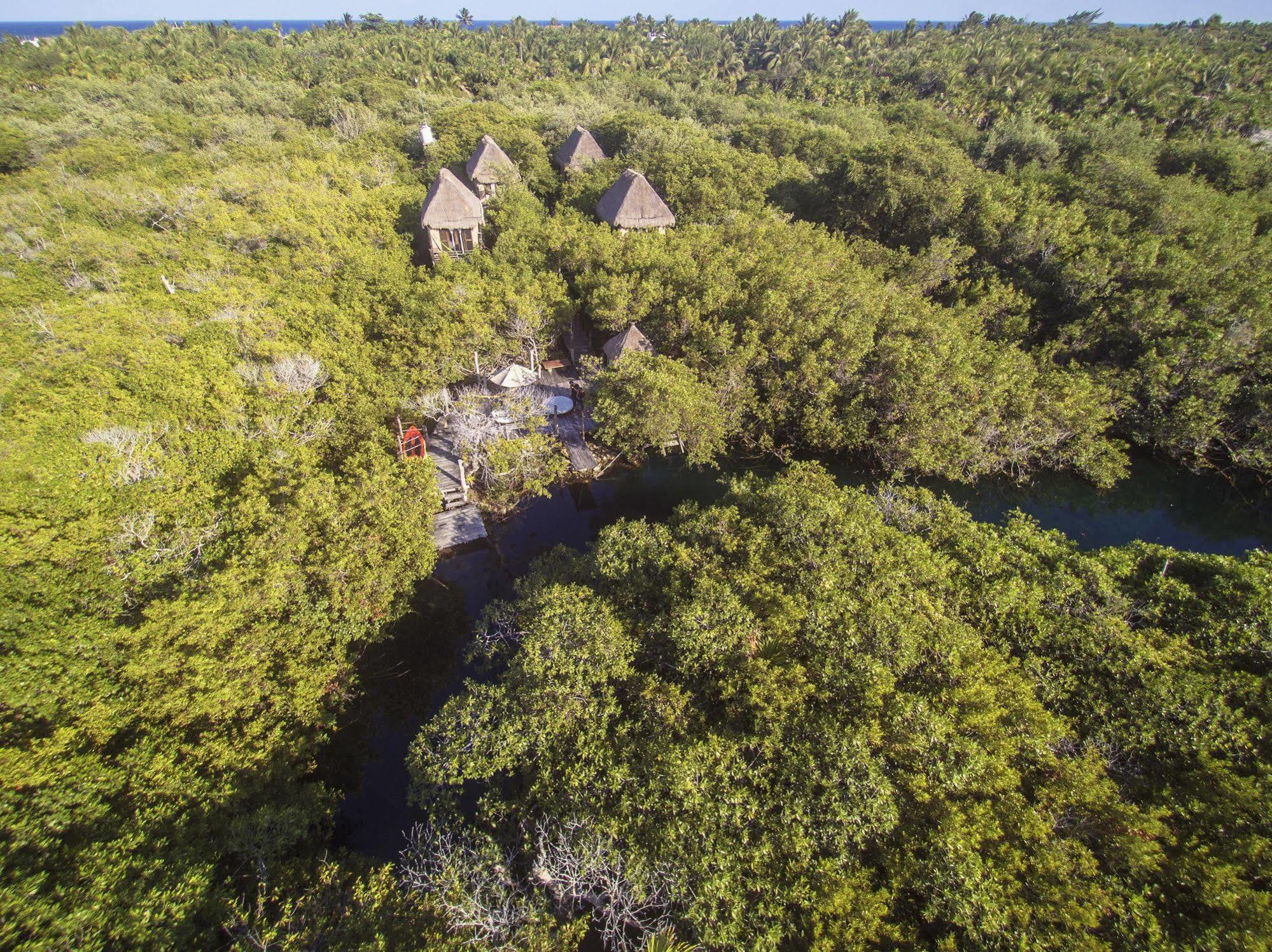 Manglex Eco Hotel Tulum Exterior photo