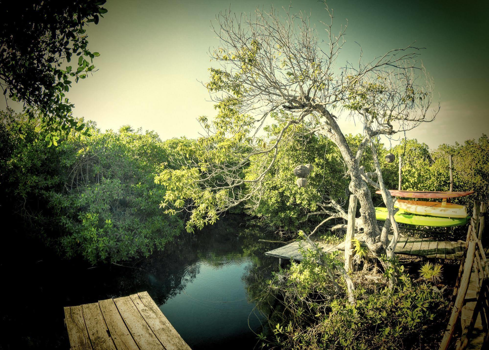 Manglex Eco Hotel Tulum Exterior photo